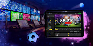 Exploring the Features and Benefits of 7d bet