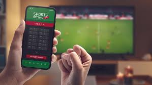 Exploring the Features and Benefits of 7d bet